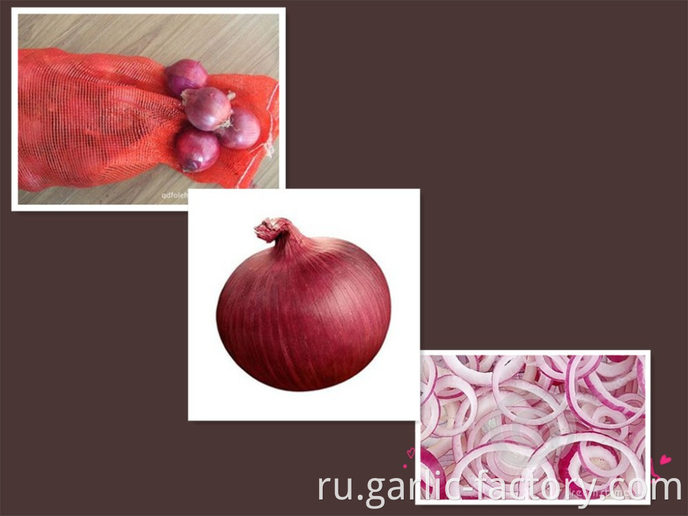 Quality fresh onion vegetables new crop for wholesale